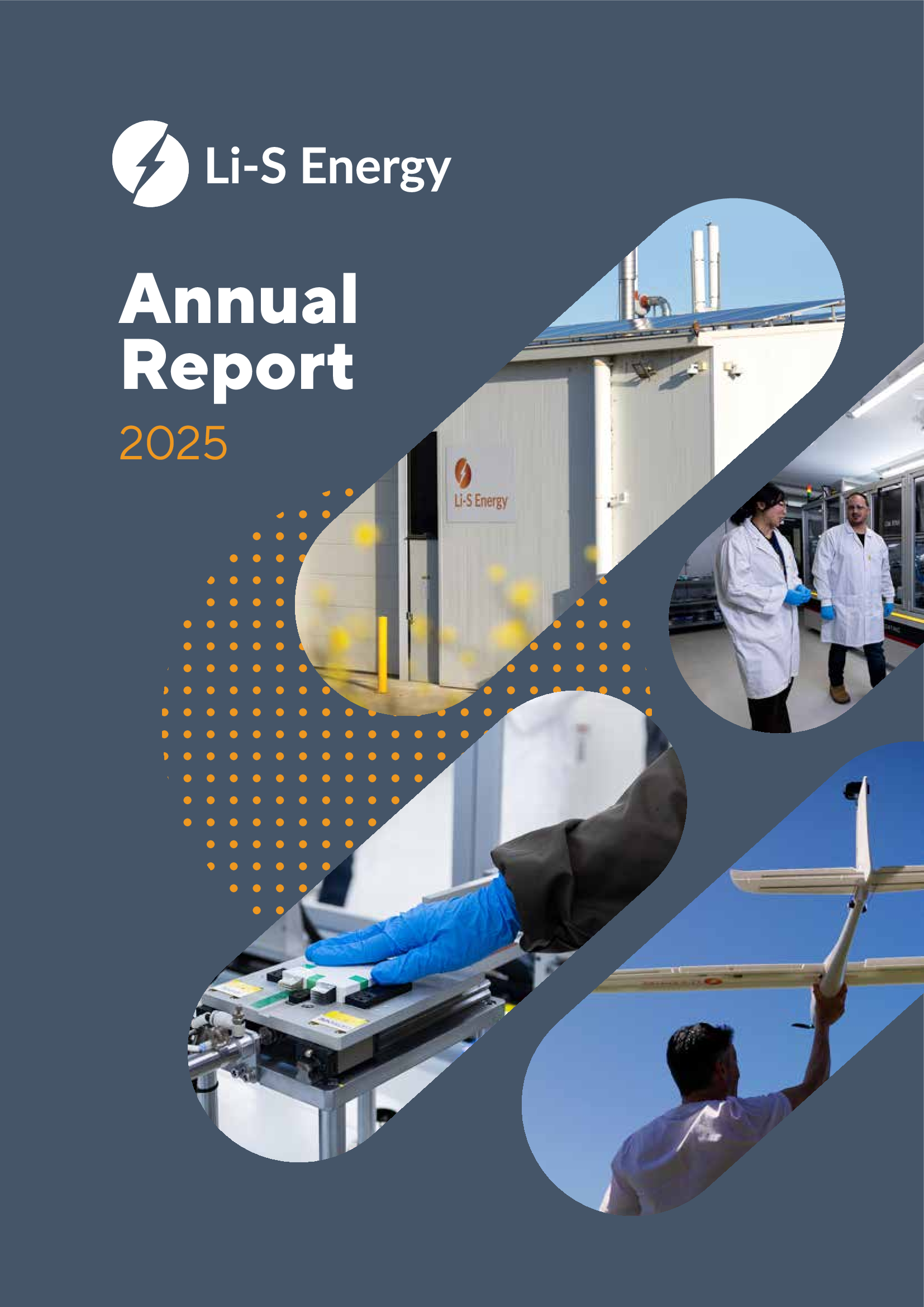 Lis Annual Report